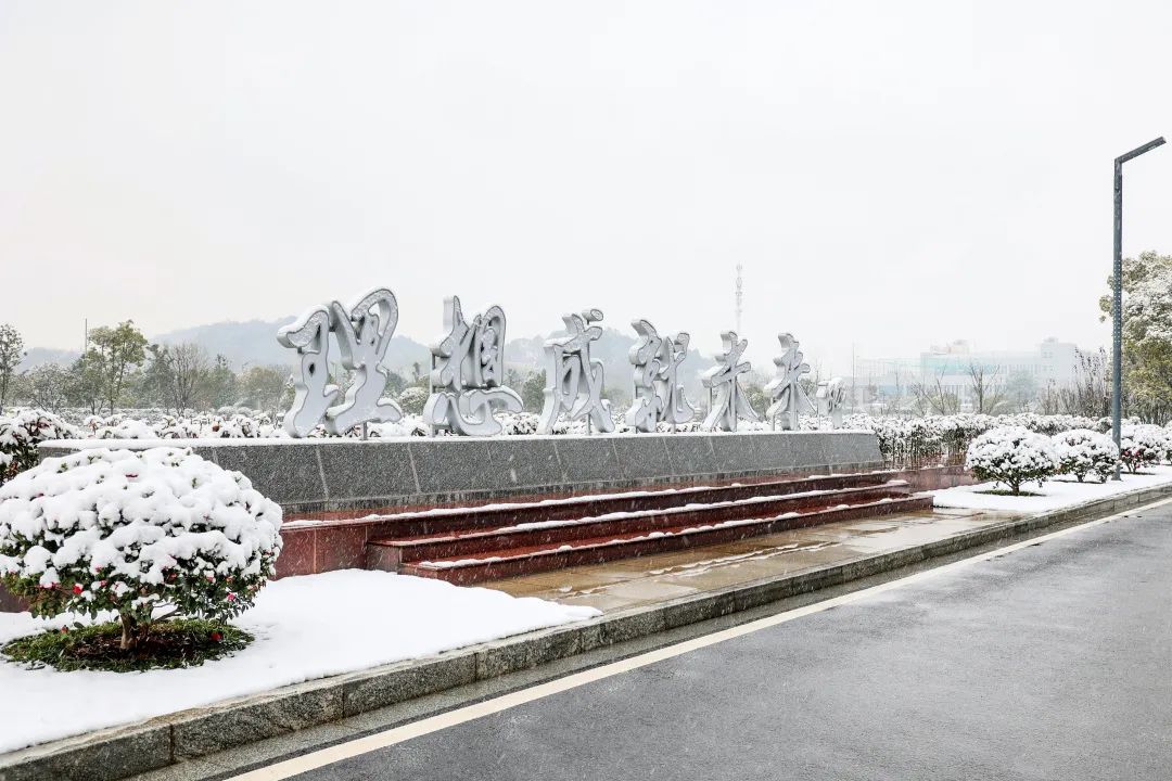 瑞雪兆有年，邀您共赏雪中尊龙凯时！